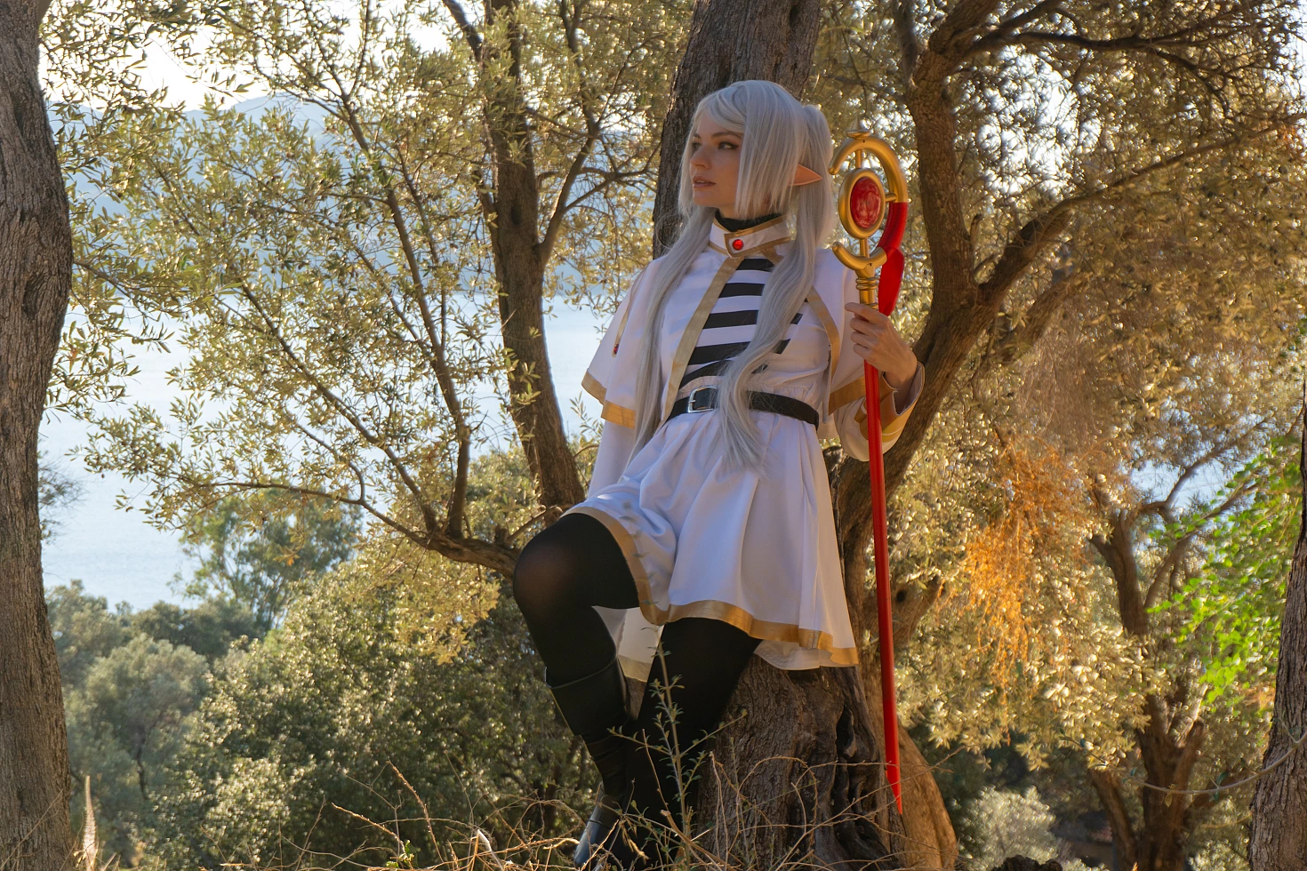 Frieren cosplay portrait olive grove silver hair elf ears white gold mage dress staff warm daylight Sousou no Frieren anime
